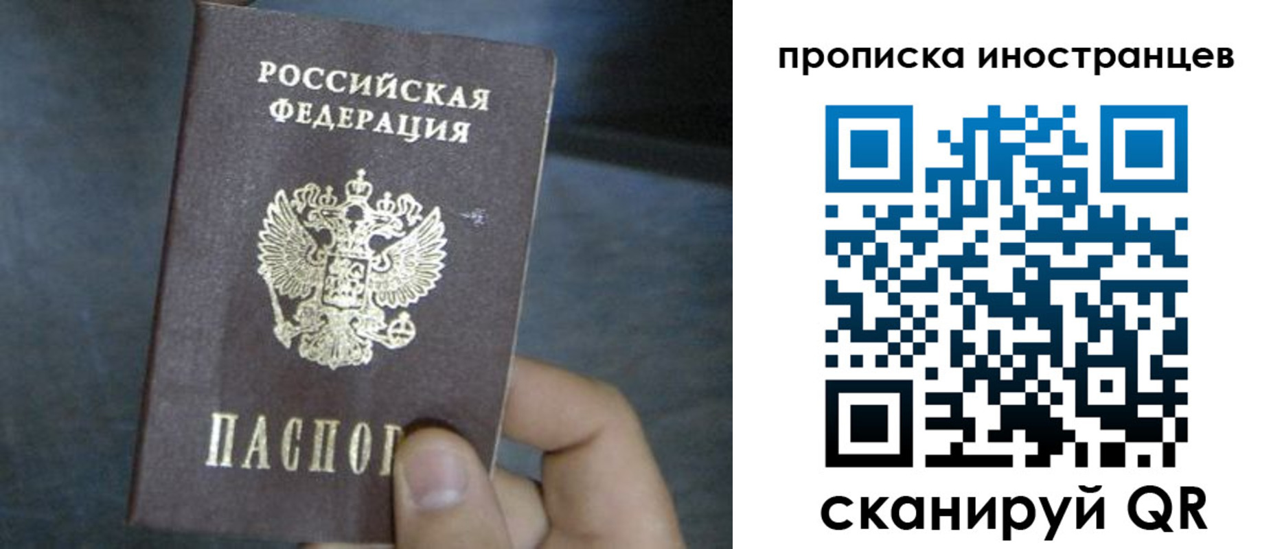 прописка в квартире в Ершове